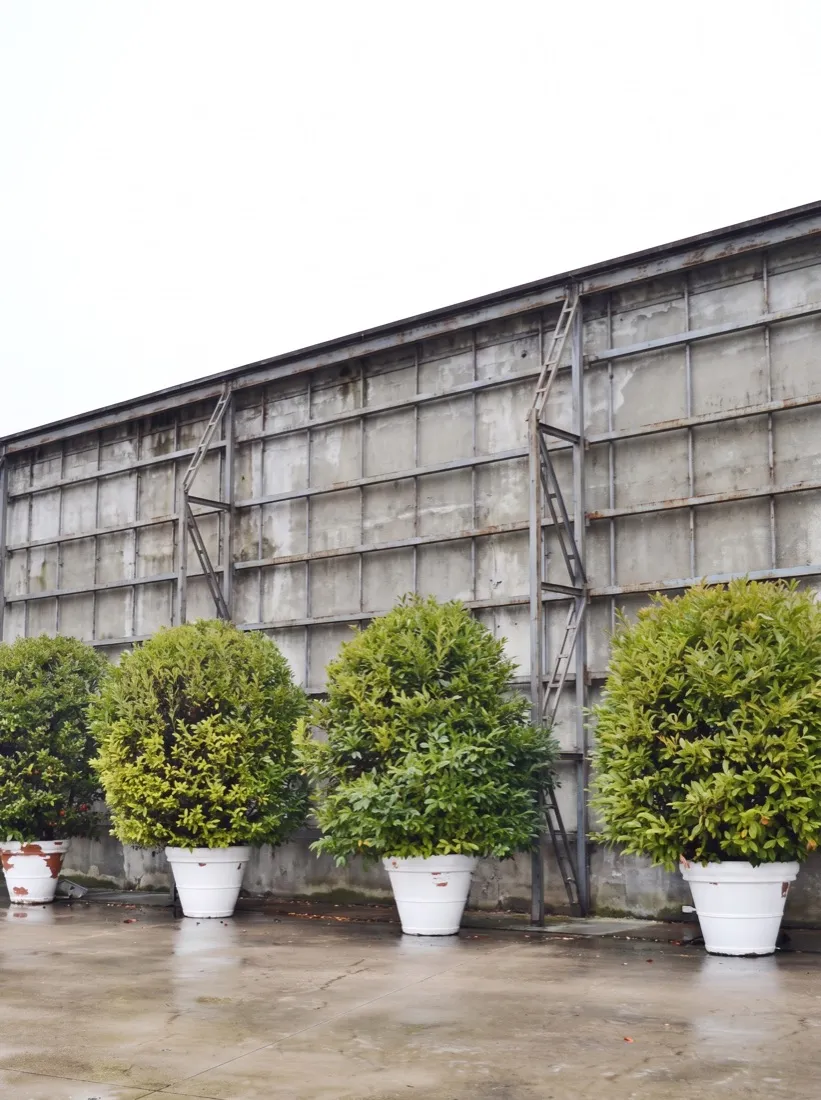 Struttura grezza prima del rivestimento